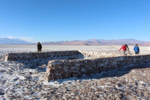 From Herders to Wage Laborers and Back Again: Engaging with Capitalism in the Atacama Puna Region of Northern Chile